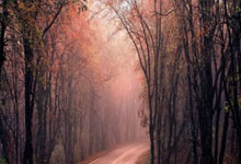 欧预赛分组揭晓，精彩比赛纷呈！