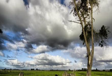 金牌的时刻，韩国选手完美斩获瞬间辉煌登场