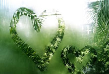 雷恩佐接受采访，称心甘情愿留队